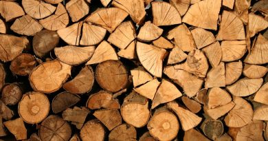 Spar penge på varmen med træbriketter